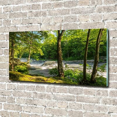 Foto obraz szkło akryl Rzeka w lesie