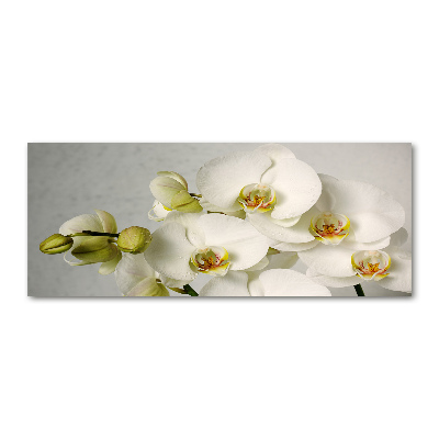 Obraz zdjęcie szkło akryl Biała orchidea