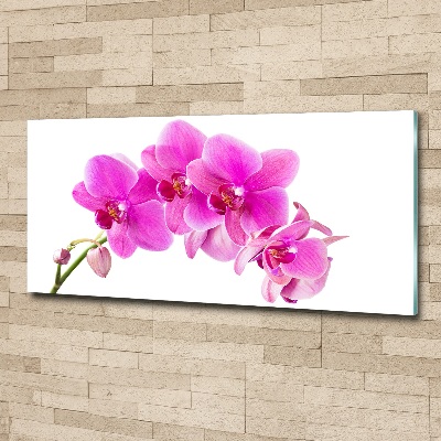 Obraz zdjęcie szkło akryl Różowa orchidea