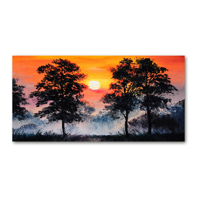 Foto obraz szkło akryl Zachód słońca las