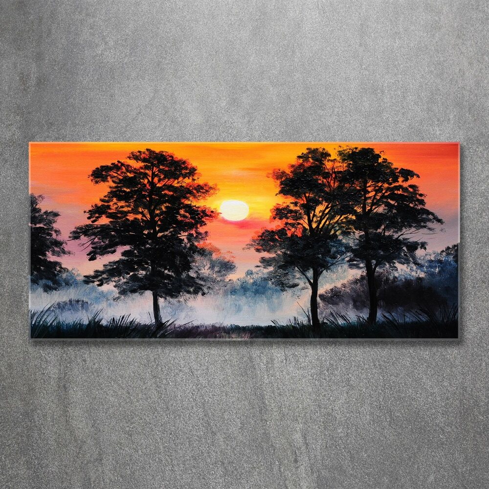 Foto obraz szkło akryl Zachód słońca las