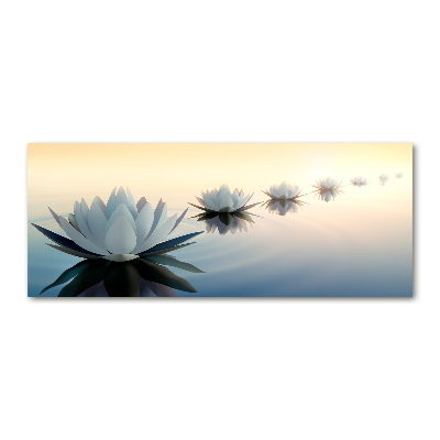 Obraz zdjęcie szkło akryl Kwiaty lotosu