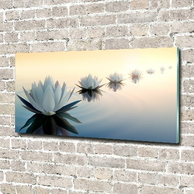 Obraz zdjęcie szkło akryl Kwiaty lotosu