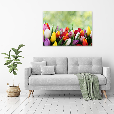 Foto obraz szkło akryl Kolorowe tulipany