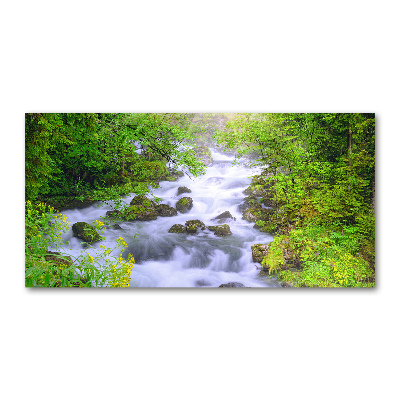 Foto obraz szkło akryl Górska rzeka