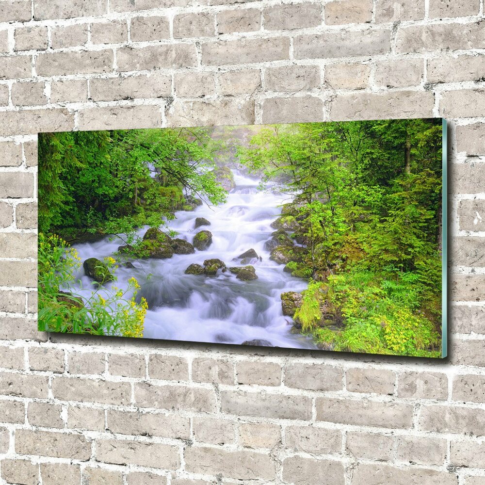 Foto obraz szkło akryl Górska rzeka