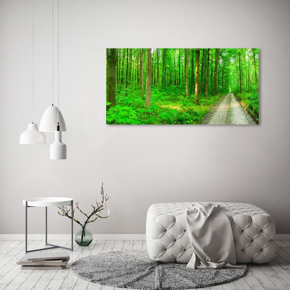 Obraz zdjęcie szkło akryl Drzewa w lesie