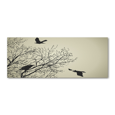 Obraz zdjęcie szkło akryl Wrony na drzewie