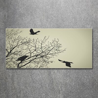 Obraz zdjęcie szkło akryl Wrony na drzewie