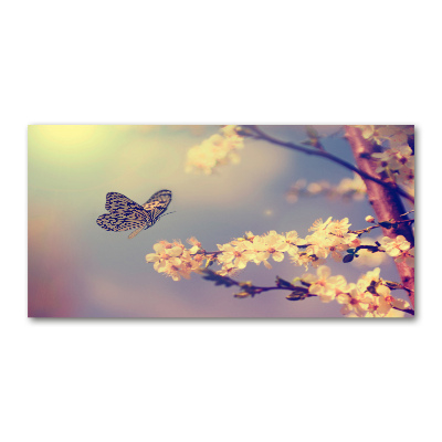 Obraz zdjęcie akryl Kwiat wiśni i motyl