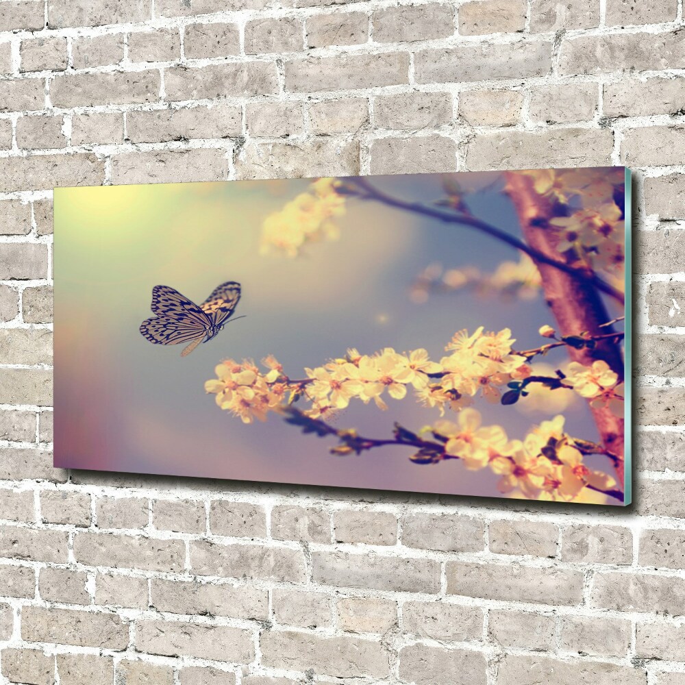 Obraz zdjęcie akryl Kwiat wiśni i motyl