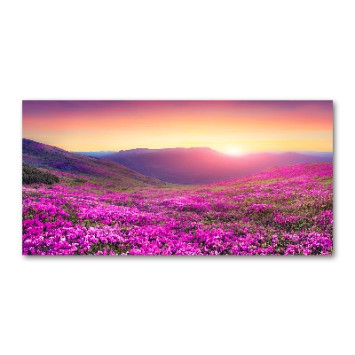 Foto obraz szkło akryl Różowe wzgórza