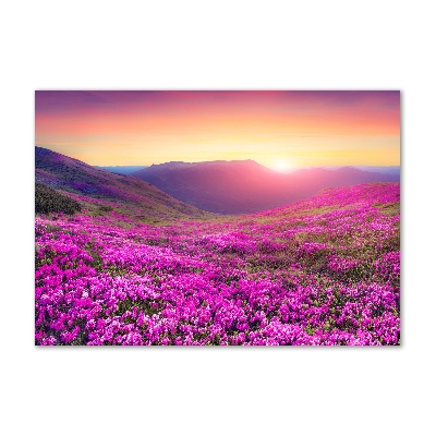 Foto obraz szkło akryl Różowe wzgórza