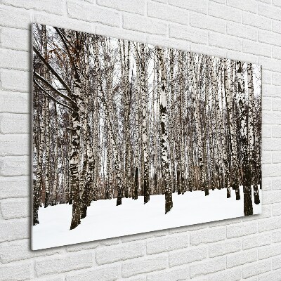 Foto obraz szkło akryl Brzozy zimą