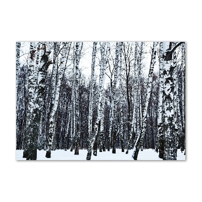 Foto obraz szkło akryl Brzozy zimą