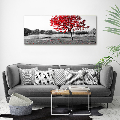 Foto obraz szkło akryl Czerwone drzewo