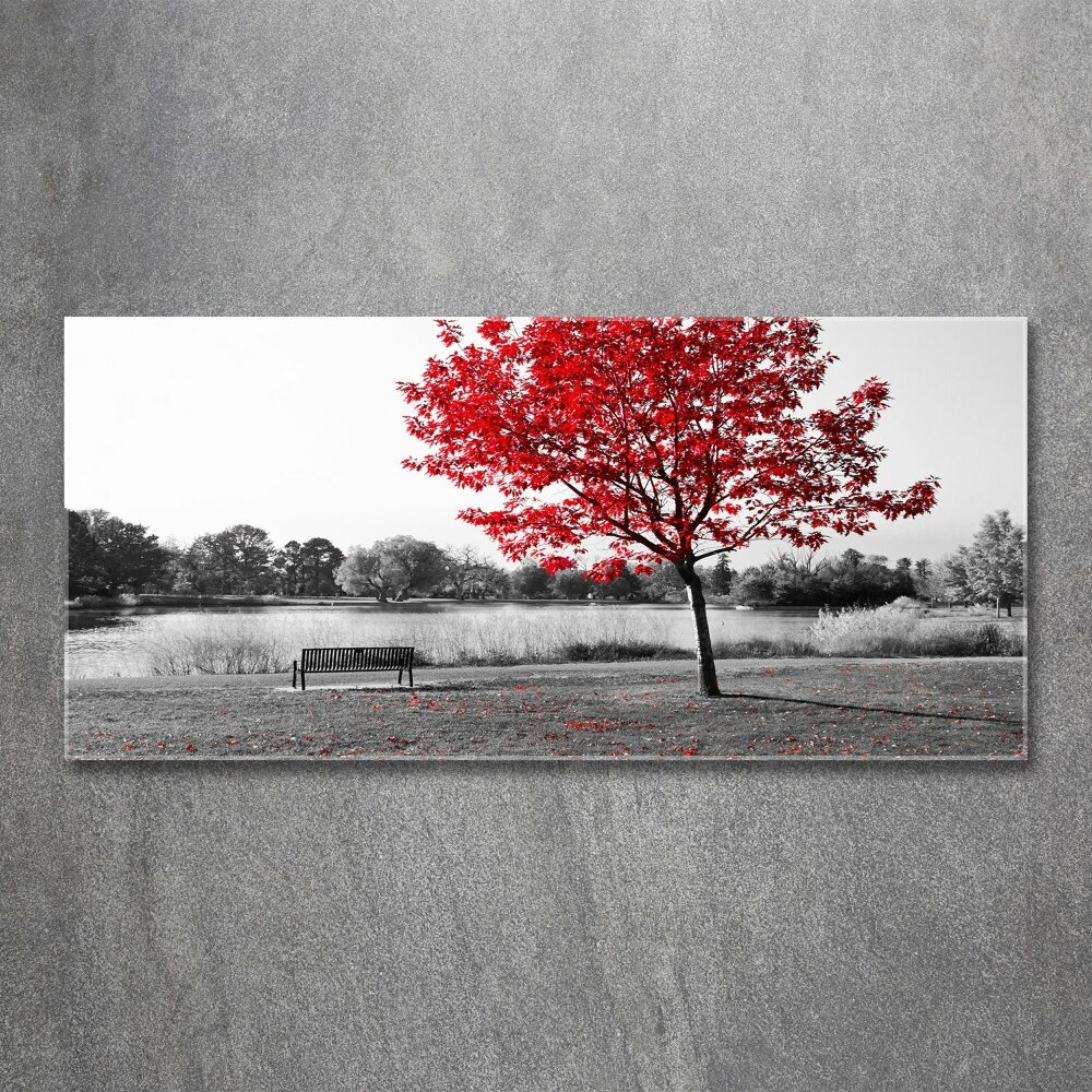 Foto obraz szkło akryl Czerwone drzewo