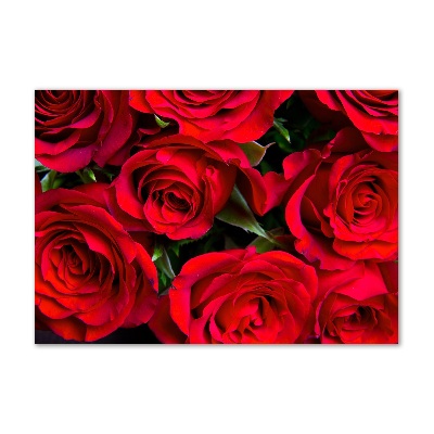 Obraz zdjęcie szkło akryl Czerwone róże