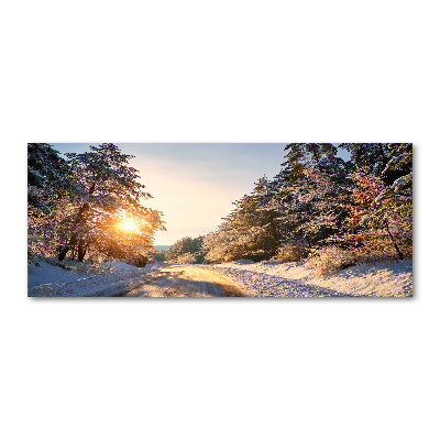 Foto obraz akryl Droga w lesie zimą