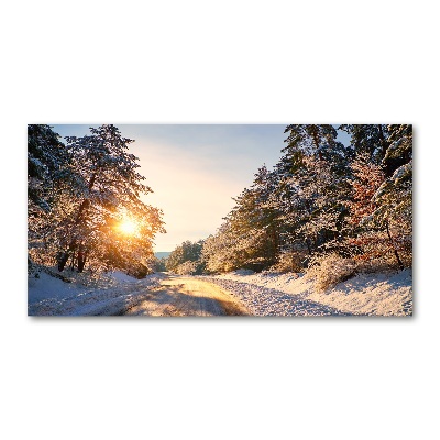 Foto obraz akryl Droga w lesie zimą