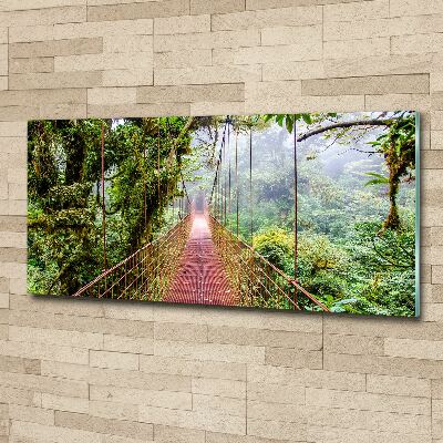 Foto obraz szkło akryl Most w tropikach