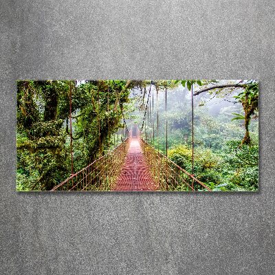Foto obraz szkło akryl Most w tropikach