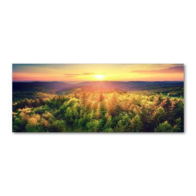 Foto obraz szkło akryl Las zachód słońca
