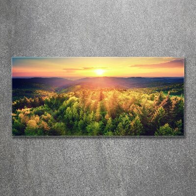 Foto obraz szkło akryl Las zachód słońca