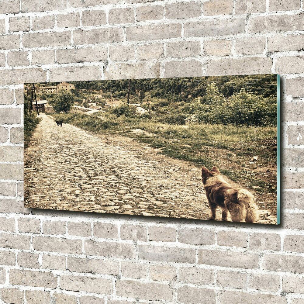 Obraz zdjęcie akryl Dwa psy na wzgórzu