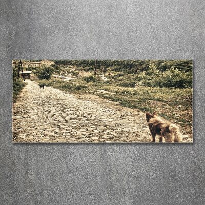 Obraz zdjęcie akryl Dwa psy na wzgórzu