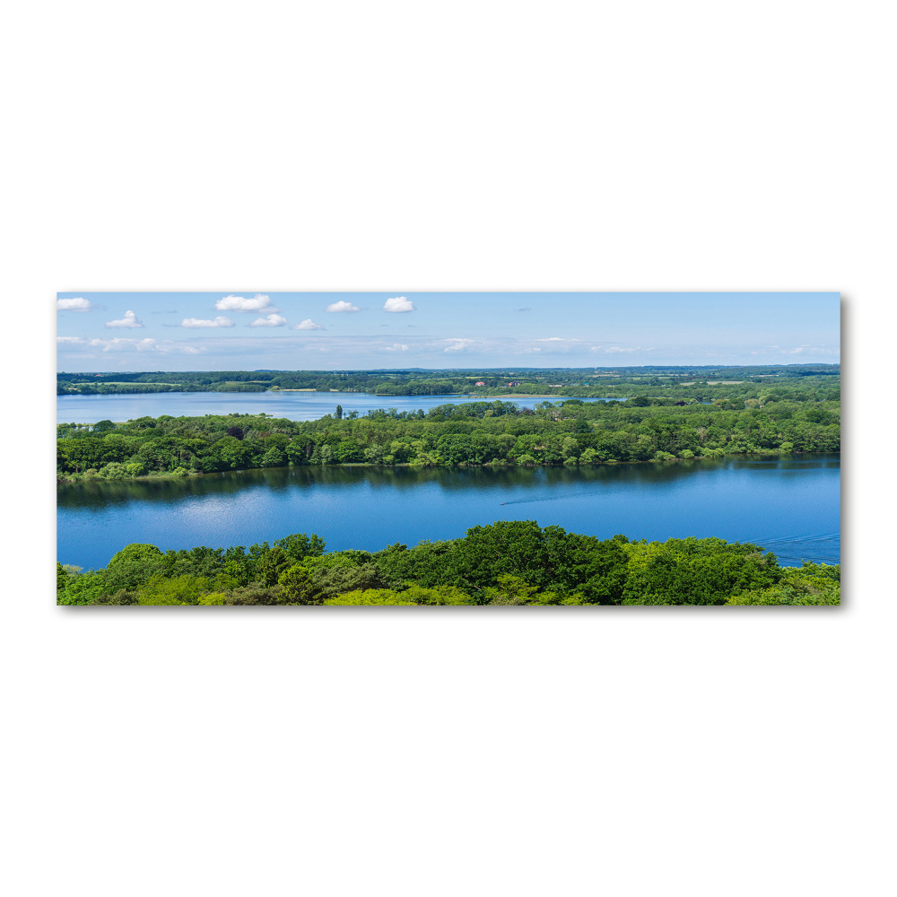 Foto obraz szkło akryl Las nad jeziorem