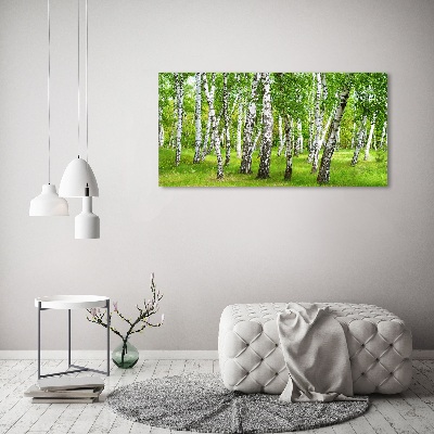 Foto obraz szkło akryl Brzozowy las