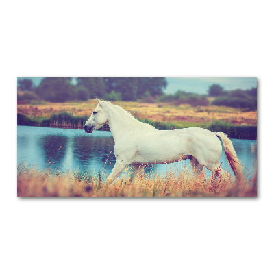 Foto obraz szkło akryl Biały koń jezioro