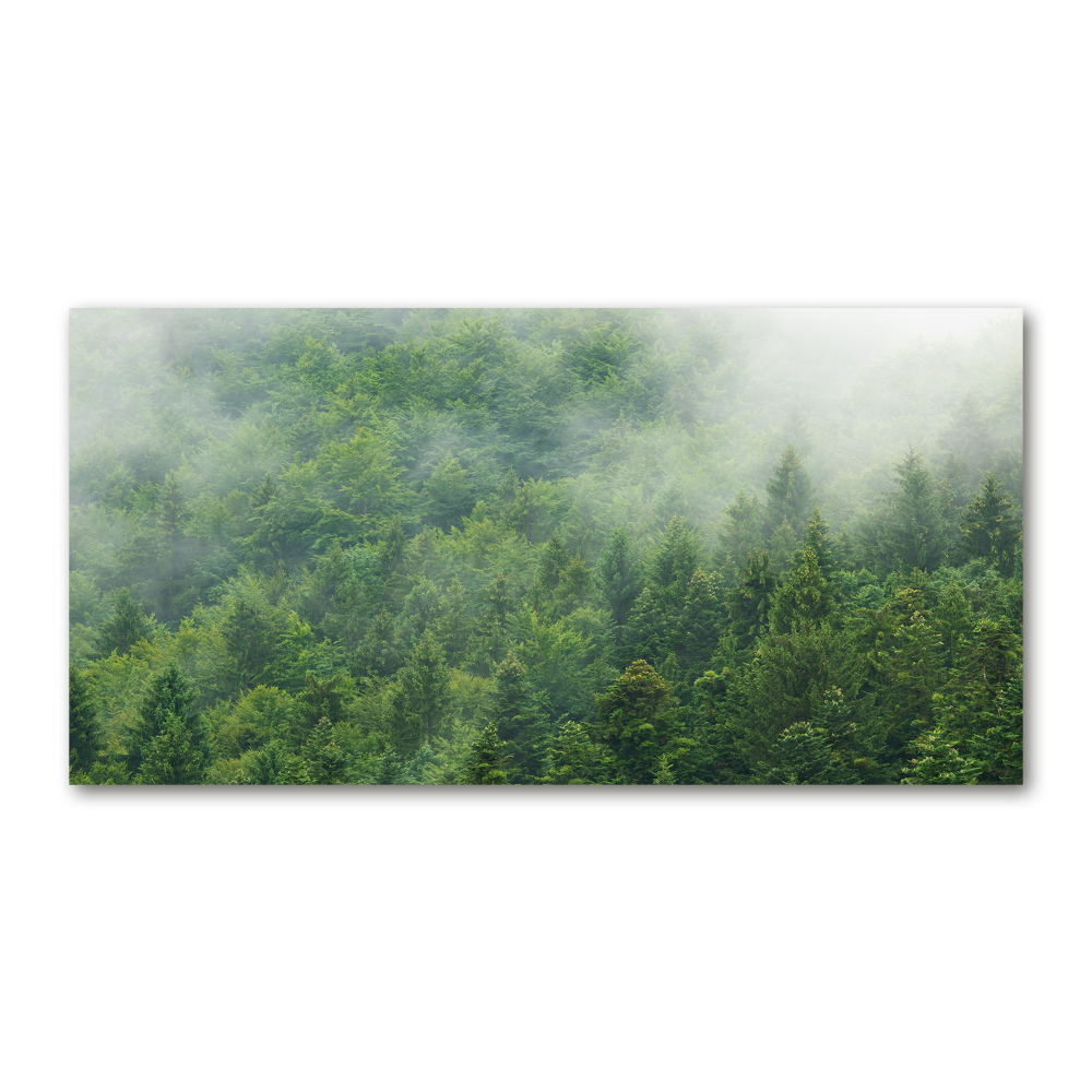 Obraz zdjęcie szkło akryl Tajemniczy las