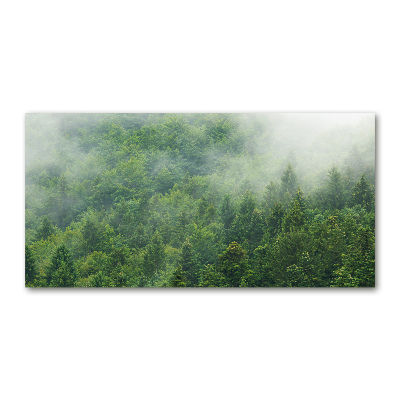 Obraz zdjęcie szkło akryl Tajemniczy las