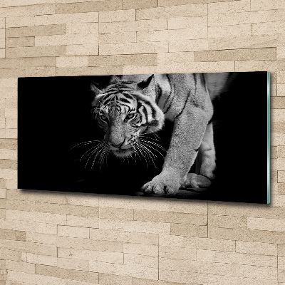 Obraz zdjęcie na scianę akrylowy Tygrys
