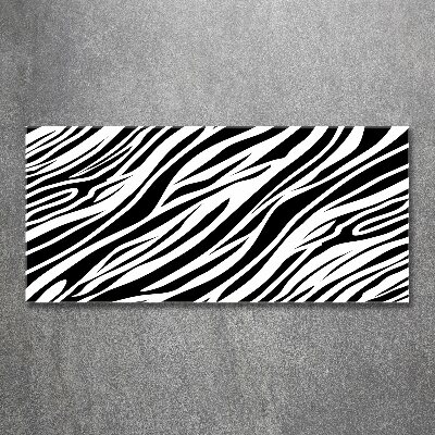 Obraz zdjęcie na ścianę akryl Zebra tło