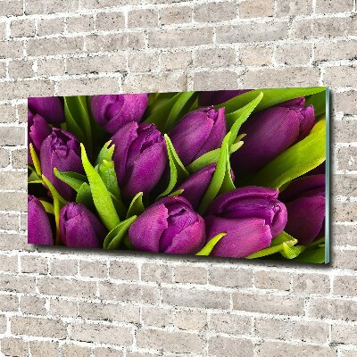 Obraz zdjęcie akryl Fioletowe tulipany