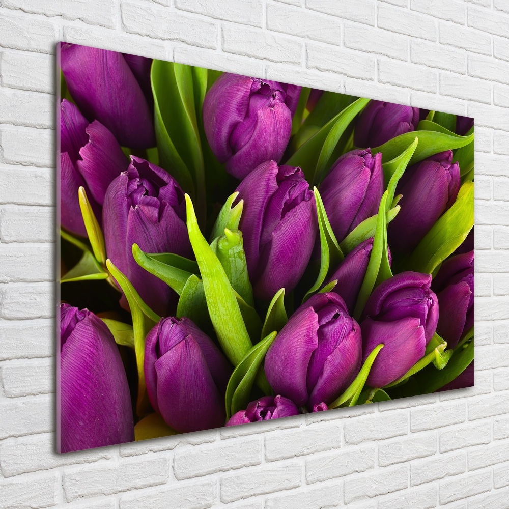 Obraz zdjęcie akryl Fioletowe tulipany