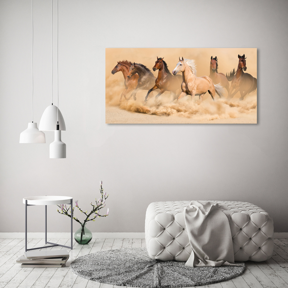 Obraz zdjęcie szkło akryl Konie pustynia