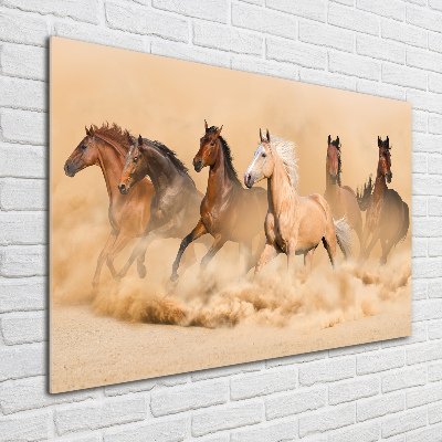 Obraz zdjęcie szkło akryl Konie pustynia
