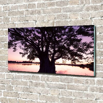Obraz zdjęcie szkło akryl Drzewo i jezioro