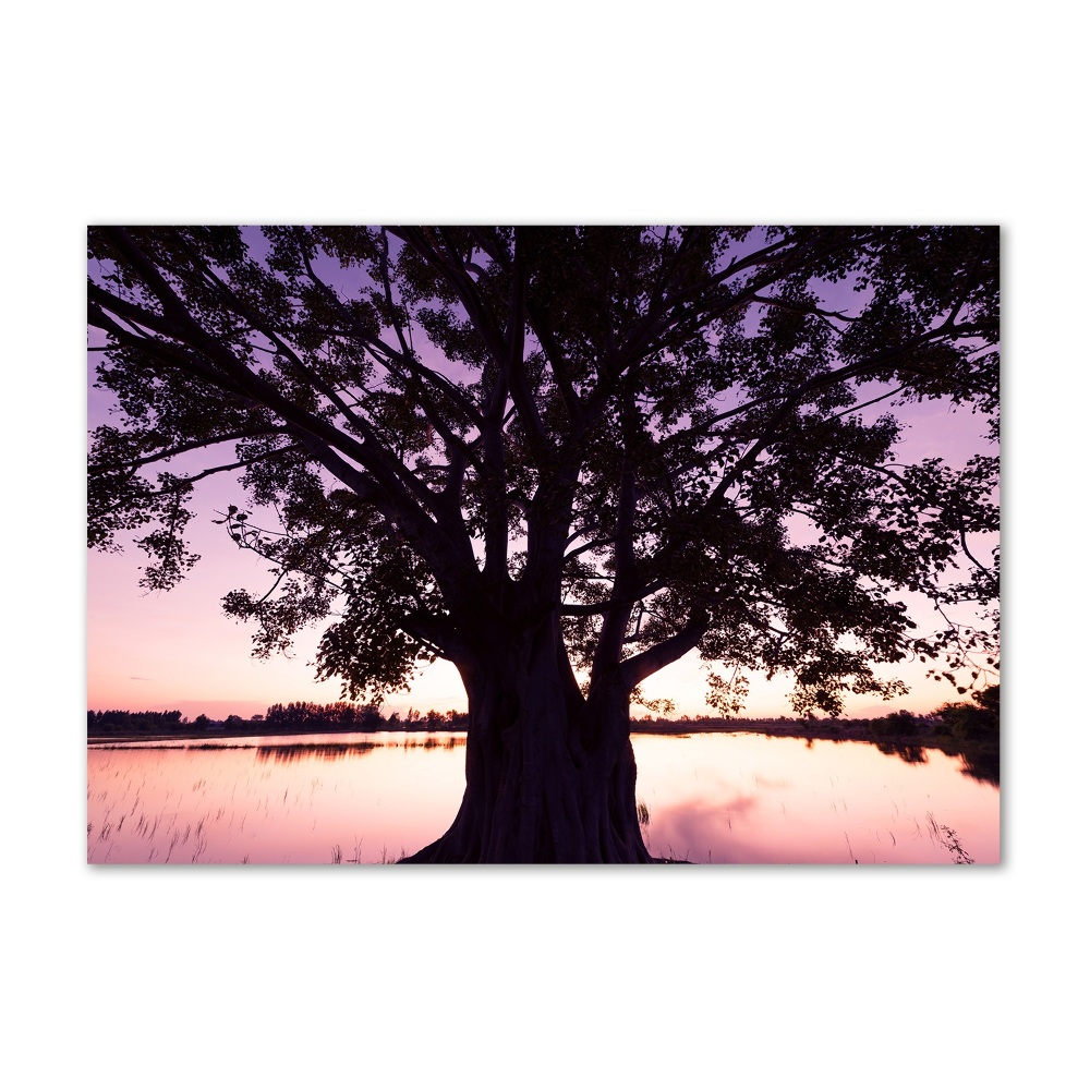 Obraz zdjęcie szkło akryl Drzewo i jezioro