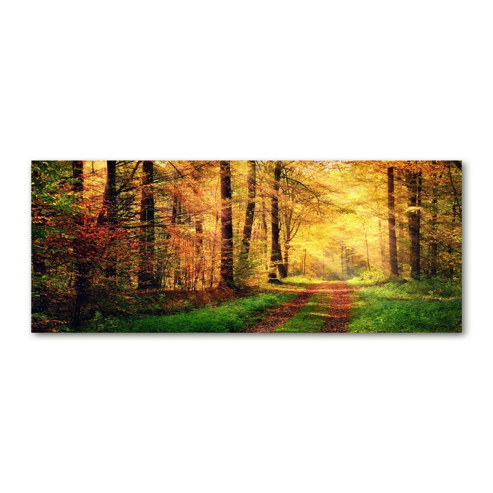 Foto obraz szkło akryl Las jesienią