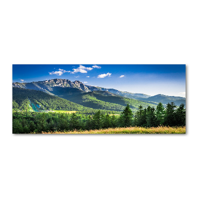 Foto obraz akryl Skocznia w Tatrach