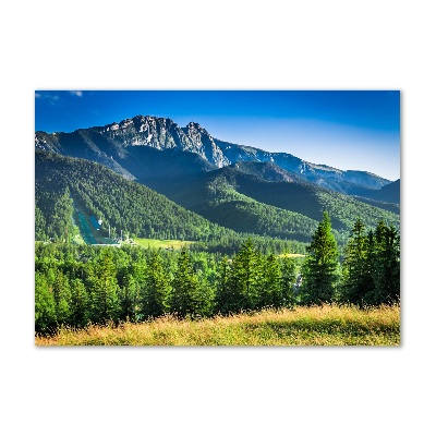 Foto obraz akryl Skocznia w Tatrach