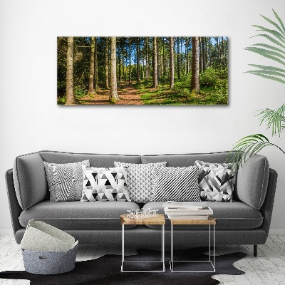 Foto obraz szkło akryl Panorama lasu