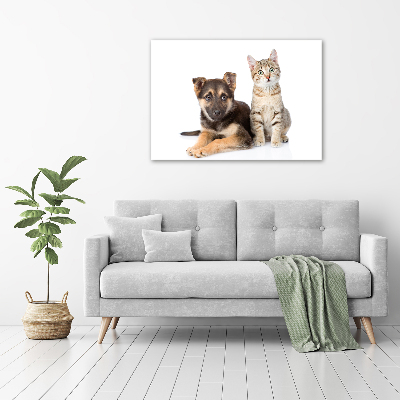 Obraz zdjęcie na ścianę akryl Pies i kot