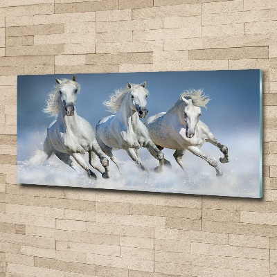 Obraz zdjęcie szkło akryl Konie w galopie