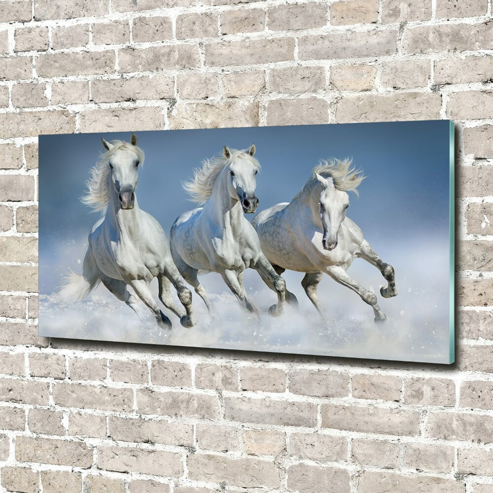 Obraz zdjęcie szkło akryl Konie w galopie